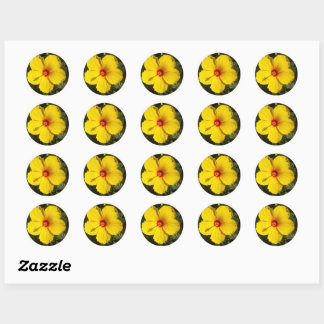 Yellow Hibiscus Flower Classic Round Sticker