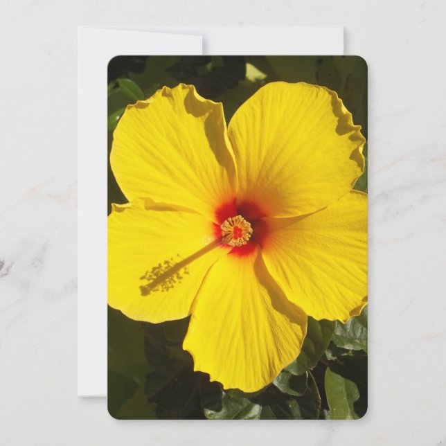 Yellow Hibiscus Flower Invitation (Front)