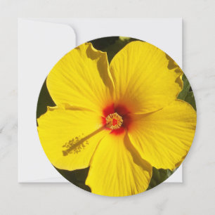 Yellow Hibiscus Flower Invitation