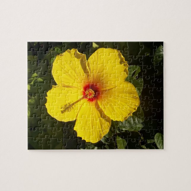 Yellow Hibiscus Flower Jigsaw Puzzle (Horizontal)
