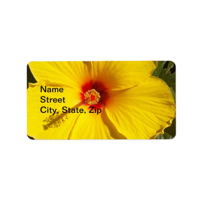 Yellow Hibiscus Flower Label (Front)