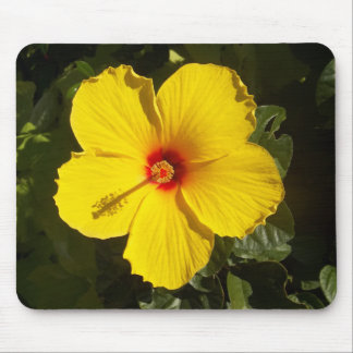 Yellow Hibiscus Flower Mouse Mat