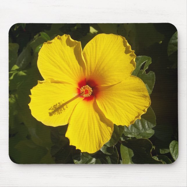Yellow Hibiscus Flower Mouse Mat (Front)