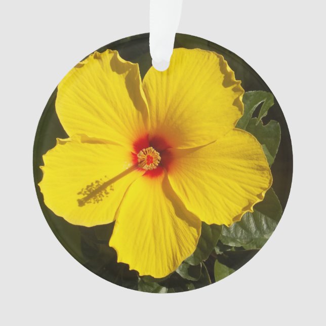 Yellow Hibiscus Flower Ornament (Front)