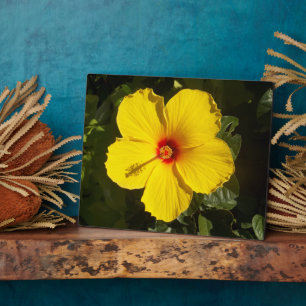 Yellow Hibiscus Flower Plaque