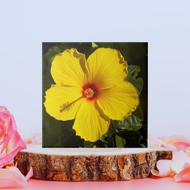 Yellow Hibiscus Flower Tile (Yellow Hibiscus Flower Ceramic Tile)