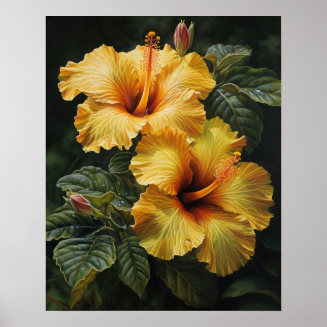 Yellow Hibiscus Flowers Art Print Poster (Front)