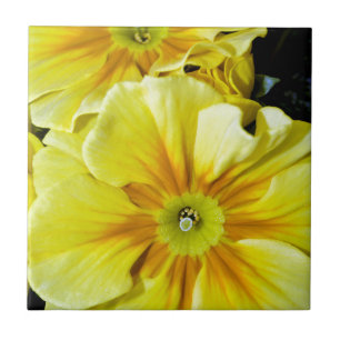 Yellow hibiscus flowers tile