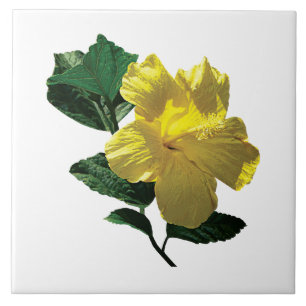 Yellow Hibiscus in Sunshine Tile