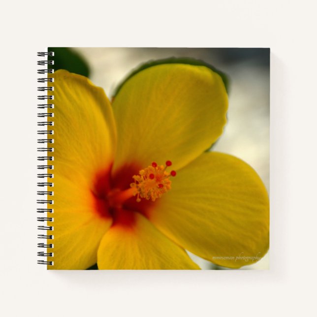 Yellow Hibiscus Notebook (Front)