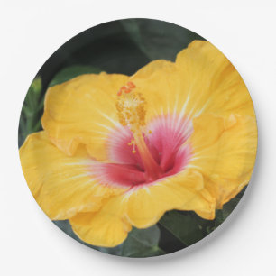 Yellow hibiscus paper plate