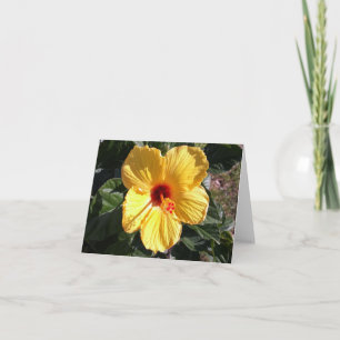 Yellow Hibiscus Photo Folded Note Card