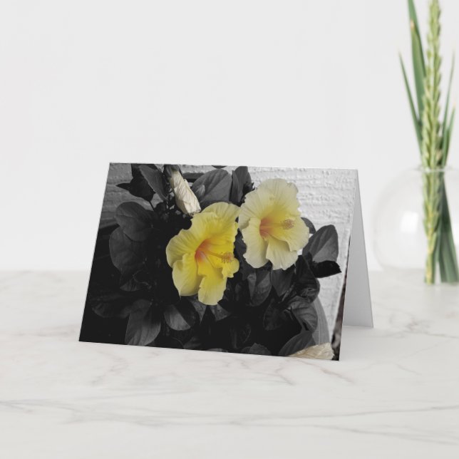 Yellow Hibiscus Photo "Happy Birthday!" Greeting Card (Front)