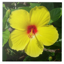 Yellow Hibiscus tile
