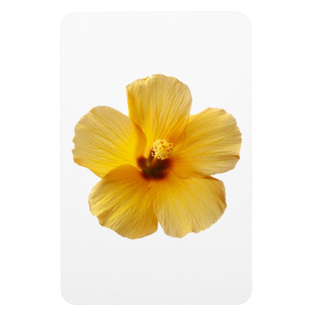 Yellow Hibiscus Tropical Flower Flowers Floral Magnet (Vertical)