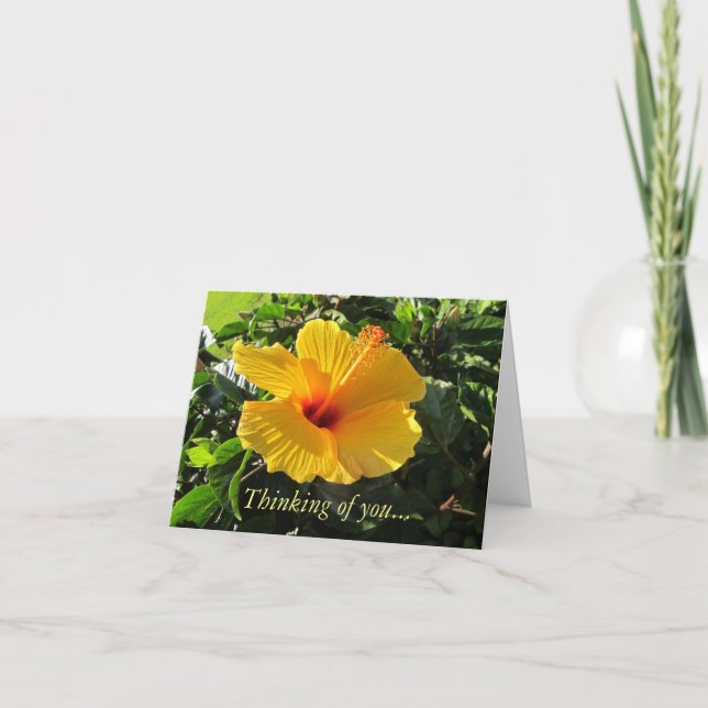 Yellow Hibiscus Tropical Thinking of You Card (Front)