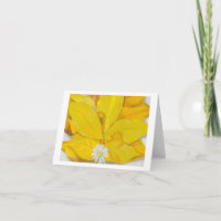 Yellow Hickory Leaves with Daisy by O'Keeffe, 