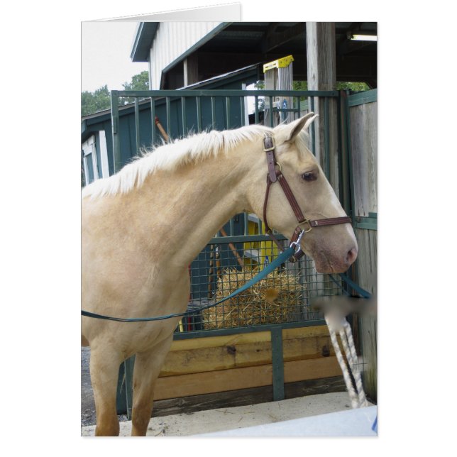 Yellow Horse (Front)