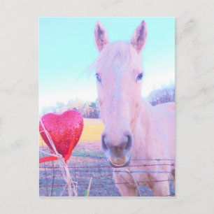 Yellow Horse and Red Heart Postcard