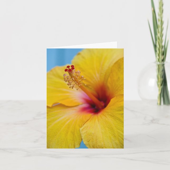 Yellow Hybiscus Flower Notecard (Front)