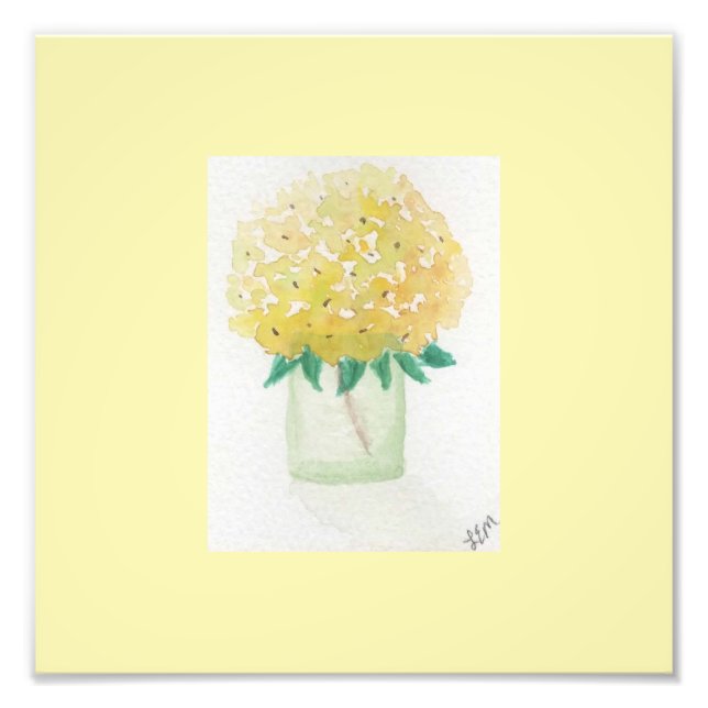 Yellow Hydrangea Photo Print (Front)