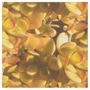 Yellow Ice Plants Fabric