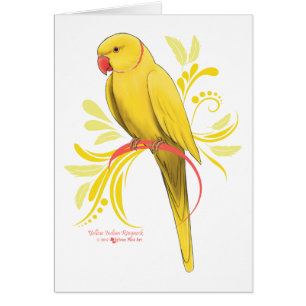 Yellow Indian Ringneck Parrot