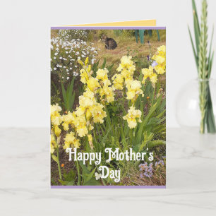 Yellow Iris and Tabby Cat Flowers Mothers Day Card