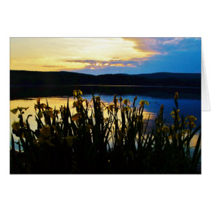 Yellow Iris at Lake Arrowhead shore
