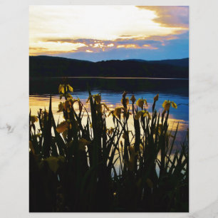 Yellow Iris at Lake Arrowhead shore