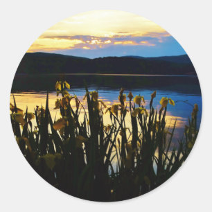 Yellow Iris at Lake Arrowhead shore Classic Round Sticker