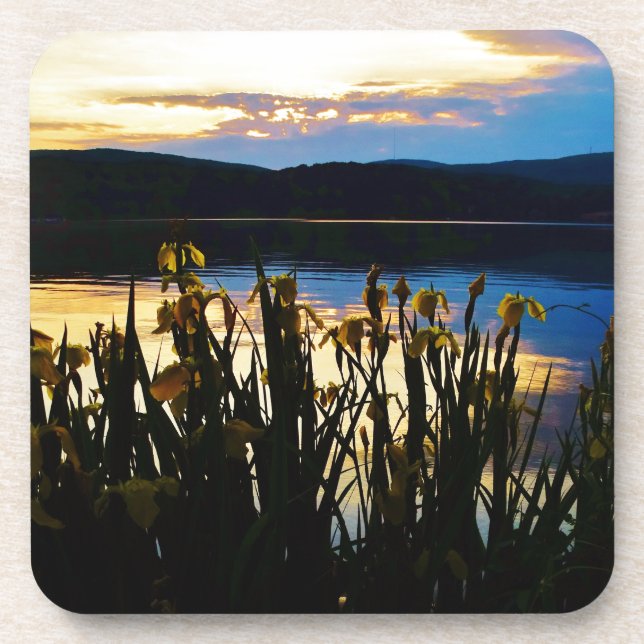 Yellow Iris at Lake Arrowhead shore Coaster (Front)