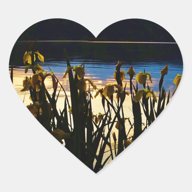 Yellow Iris at Lake Arrowhead shore Heart Sticker (Front)