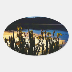 Yellow Iris at Lake Arrowhead shore Oval Sticker