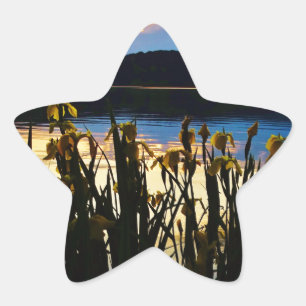 Yellow Iris at Lake Arrowhead shore Star Sticker