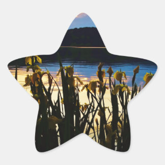 Yellow Iris at Lake Arrowhead shore Star Sticker