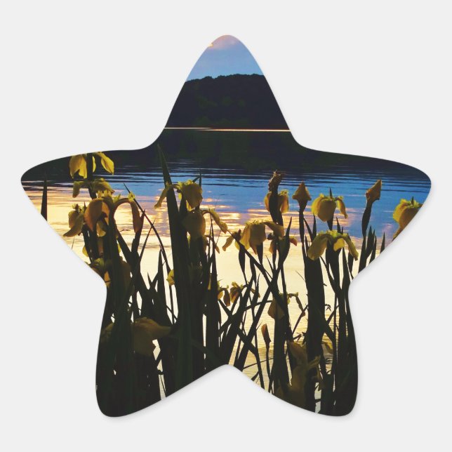 Yellow Iris at Lake Arrowhead shore Star Sticker (Front)
