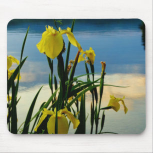 Yellow Iris at Lake Shore Mouse Mat