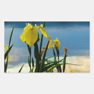 Yellow Iris at Lake Shore Rectangular Sticker