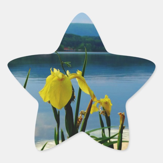 Yellow Iris at Lake Shore Star Sticker (Front)
