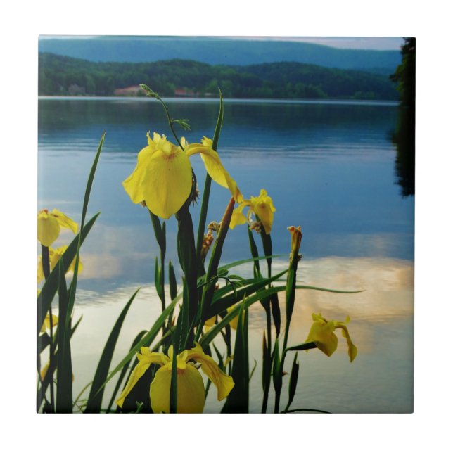 Yellow Iris at Lake Shore Tile (Front)