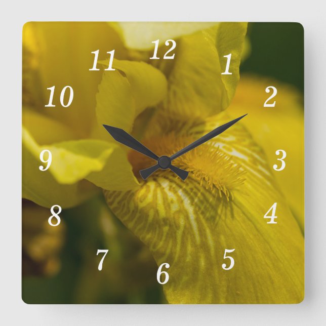 Yellow Iris Beard Wall Clock (Front)
