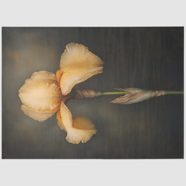 Yellow Iris Botanical Painting Decoupage Tissue Paper (Front)