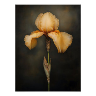 Yellow Iris Botanical Painting Poster