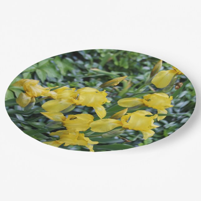 Yellow Iris Floral Garden Paper Plate (Angled)