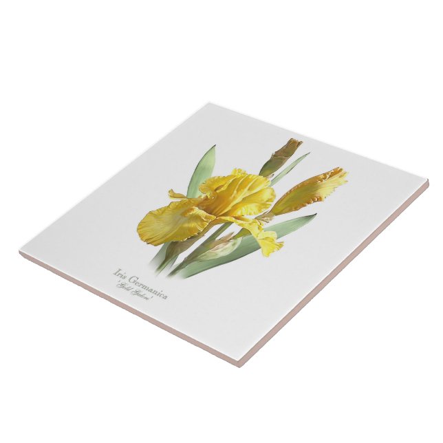 Yellow Iris Flower Botanical Style Art Tile (Side)