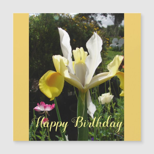 Yellow Iris Flower Floral Birthday Irises (Front)