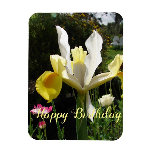 Yellow Iris Flower Floral Birthday Irises Magnet (Vertical)