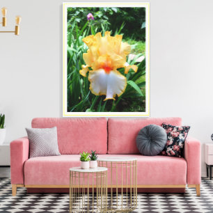 Yellow Iris Flower Garden Canvas Print