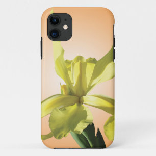 yellow iris flower in yellow background. iPhone 11 case